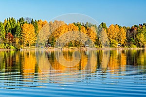 Odraz podzimních stromů na jezeře