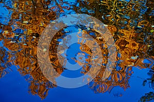 Reflection of autumn trees in the water with abstract ripples