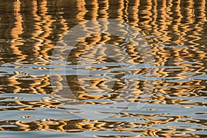 Reflection of bamboo on a water. Abstract Background.