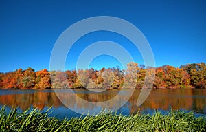 Reflection of a beautiful autumn forest in the river, against the background of a clear blue sky without clouds, with