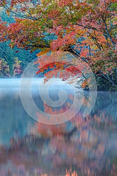 Reflection of beautiful fall colors of autumn