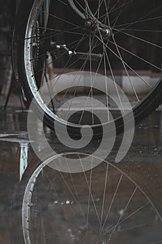 Reflection of Bike wheel