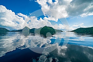 Reflection of A Blissfully Weather