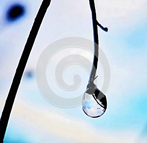 Reflection of the blue sky and the clouds in a raindrop