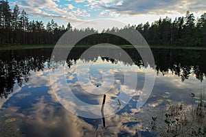 Sky and clouds are reflected in forest lake