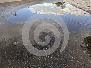 reflection of blue sky and white clouds in a puddle.