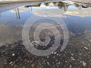 reflection of blue sky and white clouds in a puddle.
