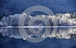 Reflection on the Bohinj lake