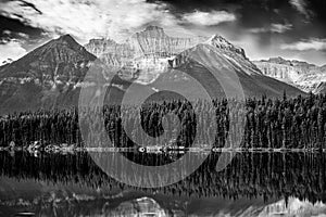 Reflection of BowCrow Peak lined with pine trees in Bow Lake, Banff National Park