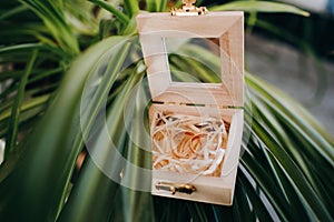 Reflection of the bride and groom in the mirror of wooden box with golden wedding rings which stands on the grass