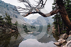 Reflection on a calm, still Loch Vale lake, a remote alpine lake in Rocky Mountain National Park Colorado