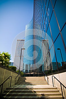 The Reflection of Chicago