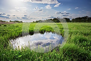 Reflection of clouds and blue sky in small lake among green grass