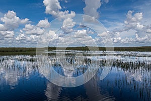 Reflection of clouds in calm water