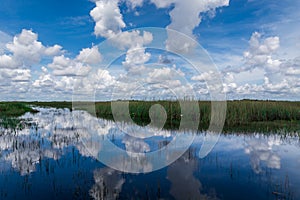 Reflection of clouds in calm water. Wetlands in Florida