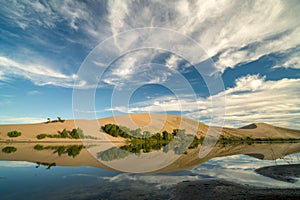 Reflection with clouds in a lake at Bruneau Sand Dunes State Par