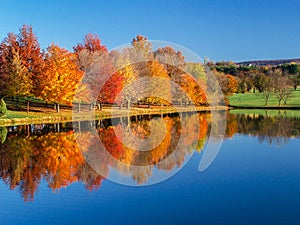 Reflection of a Colorful Autumn Landscape