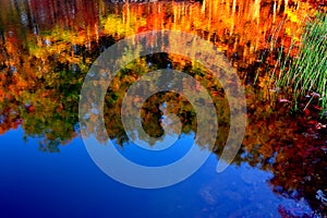 Reflection of colorful autumn trees in calm lake