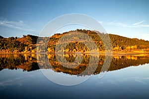 Reflection of colorful autumn trees on water level