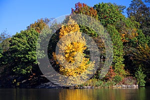 The reflection of the colors of autumn