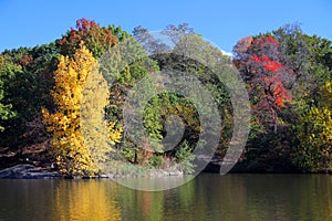 The reflection of the colors of autumn