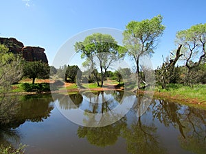 Reflection of Cottonwood
