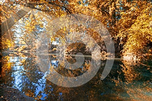 Reflection of Crabtree Creek in Fall Season Oregon