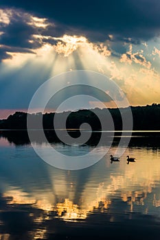 Reflection of dramatic sky and geese in Lake Pinchot, at Gifford Pinchot State Park, Pennsylvania. photo