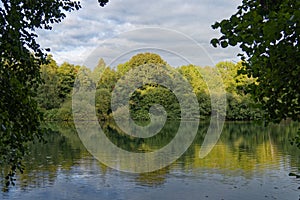 Reflection of early autumn trees at sunset