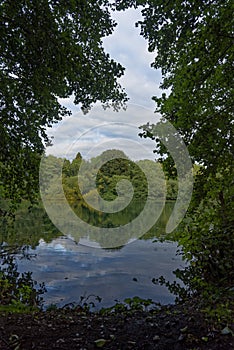 Reflection of early autumn trees at sunset