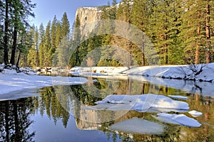 Reflection of El Capitan, Yosemite Valley, Yosemite National Park
