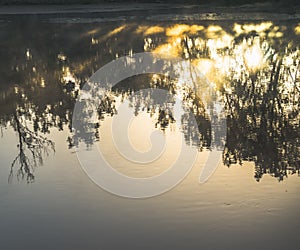 Reflection on the flat water surface of the lake of trees and the dawn sun