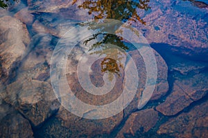 Reflection of the forest in the crystal clear water of a mountain lake