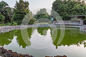 Reflection of forest on a fish pond in Lekki Conservation Center Lagos Nigeria