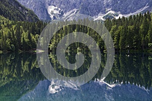 Reflection of forest in lake