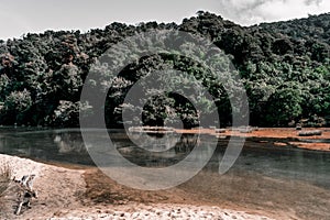 reflection of forest and lush vegetation in the calm waveless sea water on the white sand shore in the quiet cove under