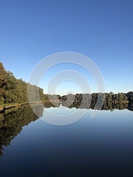 Reflection on Geroges