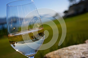 Reflection in Glass White Wine