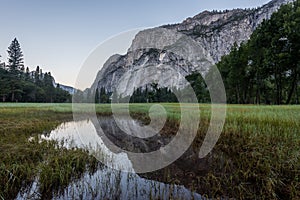 Reflection of Granite in Yosemite Valley Meadow