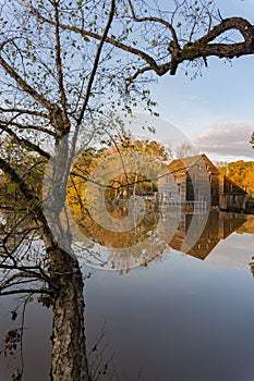 Reflection of the historic Yates Mill wooden building in the waters of a pond in autumn at dusk framed by colorful trees; vertical