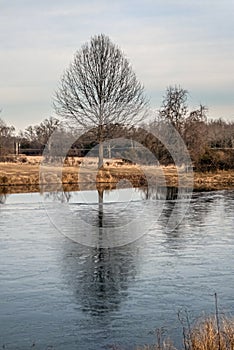 Reflection on Ice photo