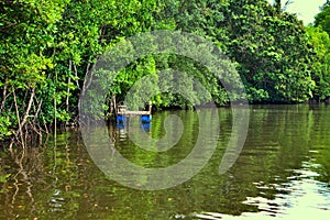 reflection of the image on the surface of the water