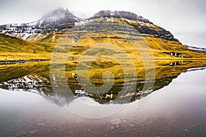 Reflection at Kirkjufellsfoss, Iceland