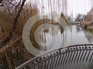 Reflection in the lake