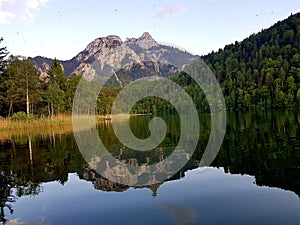 Reflection in the lake