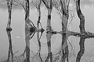 Reflection On Lake