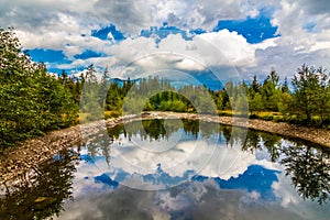 Reflection in the lake