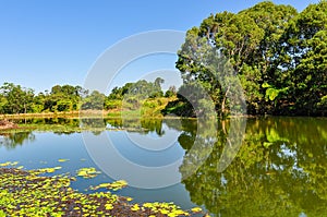 Reflection in lake, Atherton Tablelands, Australia photo