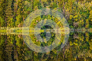 Reflection at Lake Matheson, New Zealand