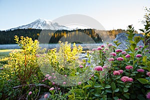 Reflection Lake